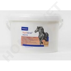 Virbac Hyaloral Pferd
